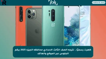 ظهرت رسميًا.. نتيجه الصف الثالث الاعدادي محافظة الجيزة 2025 برقم الجلوس عبر الموقع والهاتف